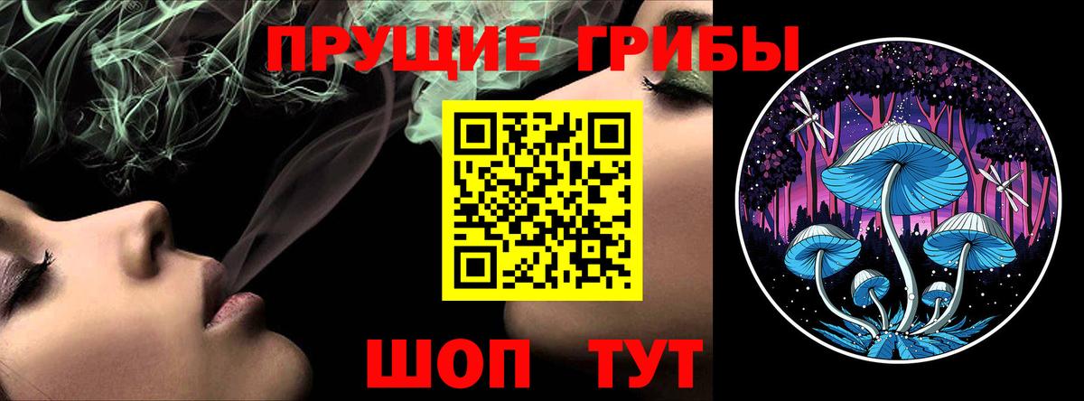 Псилоцибиновые грибы прущие грибы Будённовск