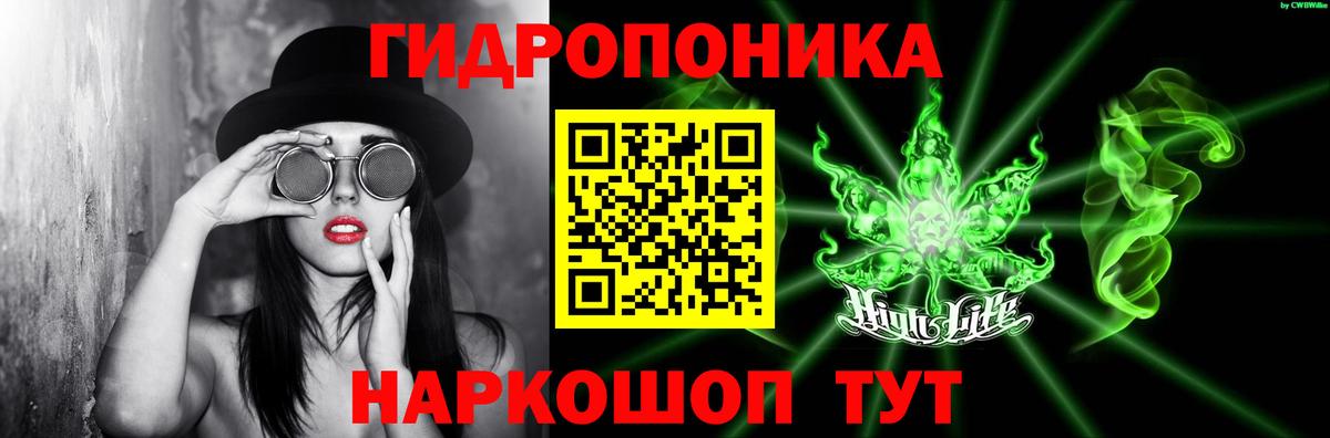 Бошки Шишки Amnesia Будённовск